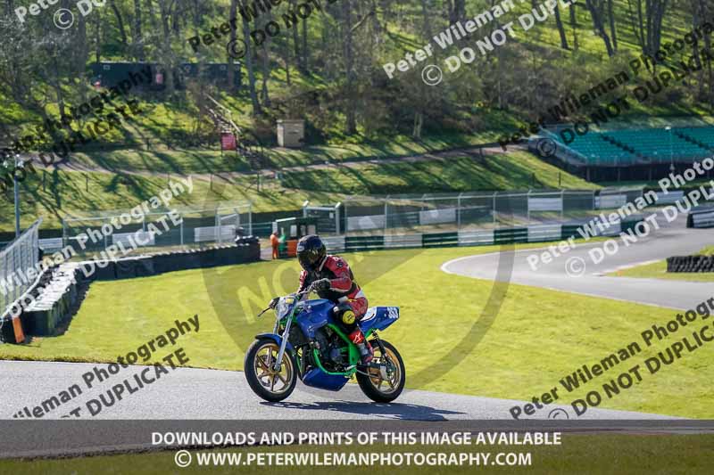 cadwell no limits trackday;cadwell park;cadwell park photographs;cadwell trackday photographs;enduro digital images;event digital images;eventdigitalimages;no limits trackdays;peter wileman photography;racing digital images;trackday digital images;trackday photos